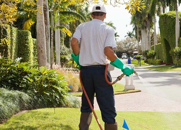 About Oliver GA Pest Control Pros